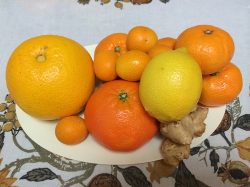 柑橘酵素