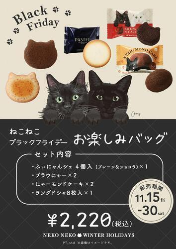 😺ブラックフライデー限定商品が登場🖤