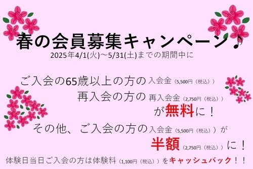 キャンペーン